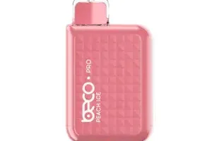 The Anti-Leak Technology In BECO Disposables